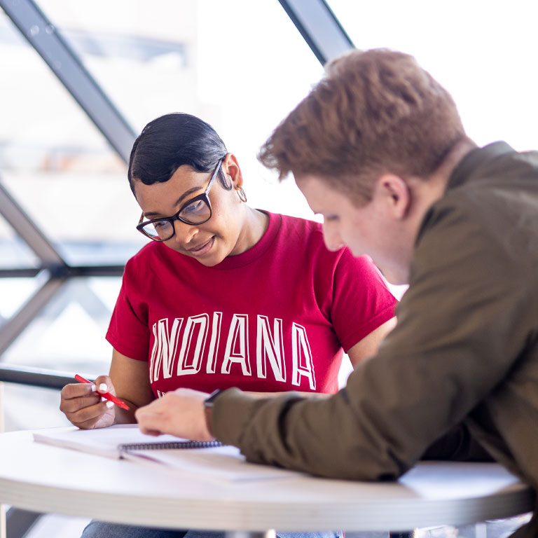 Two students studying.
