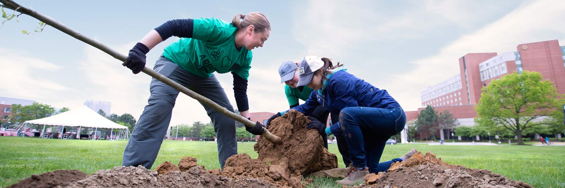 SPEA students plant a tree.